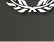 Protection feu alarme Logo 25 ans 2